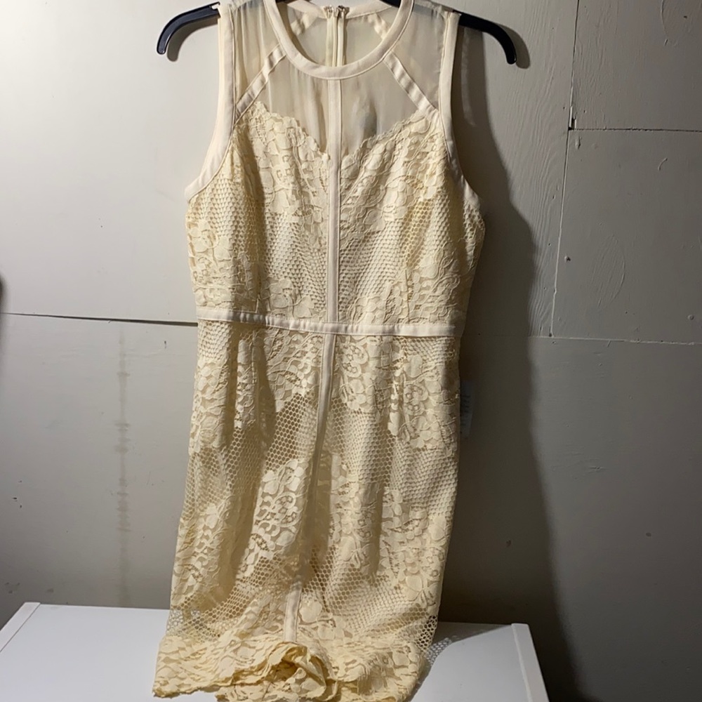Lace sheath dress